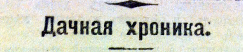 Дачная хроника