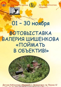 Детская библиотека г.Зеленогорска