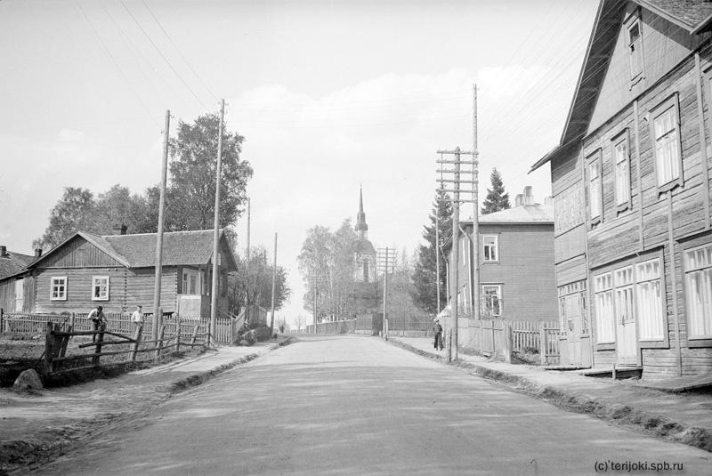 7. справа дом Борисова и дом на соседнем участке. слева огород Борисова Terijokinega_030.jpg