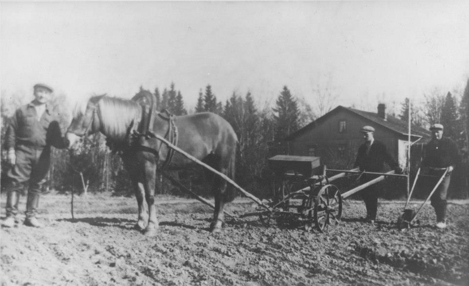 Пейппола имение Юхо Табермана 1939 поля и дом.jpg