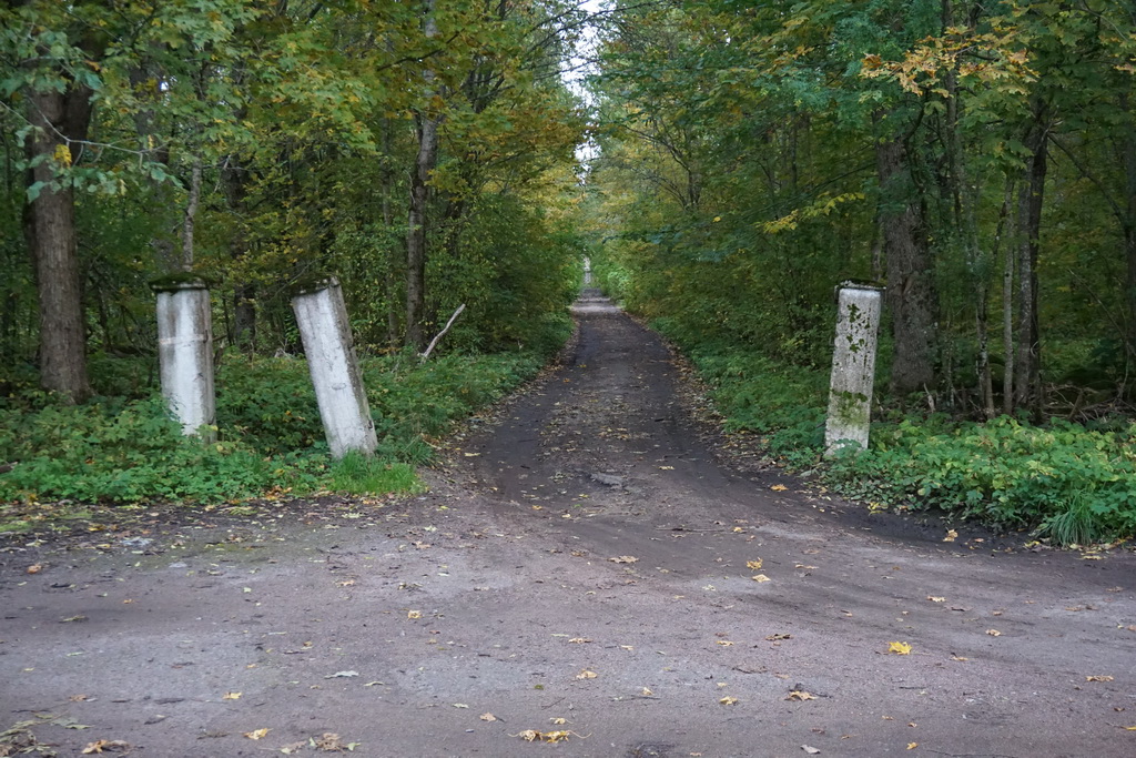 Столбы с противоположной стороны дороги, то есть напротив. Дорога, уходящая в перспективу, шла раньше через поле. То есть, по идее - это не старинные столбы. Но выглядят как старинные.