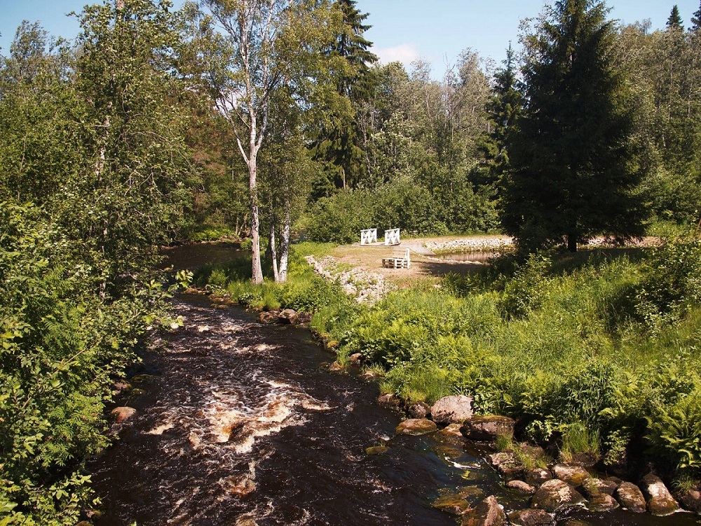 Вяярякоски Перойоки ниже запруды -.jpg