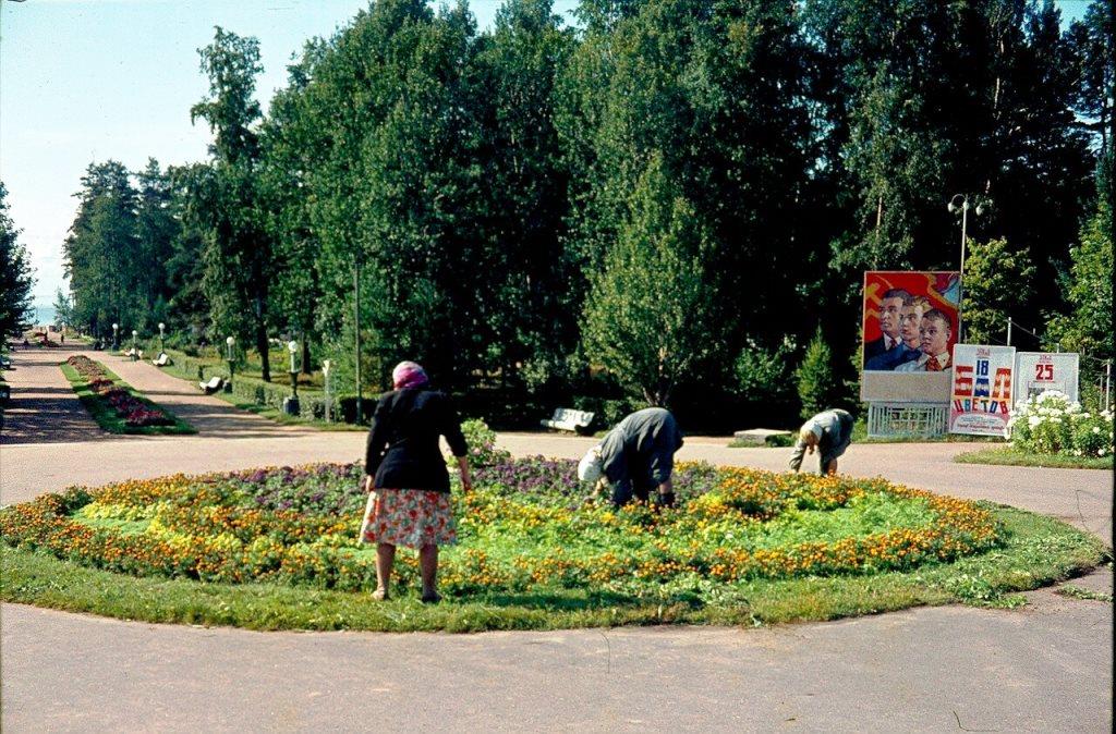 Англичане фотографировали! 1963 год.