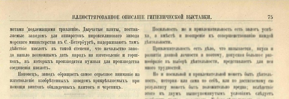 Турчанинова_Описание гигиенической выставки _1893_.jpg
