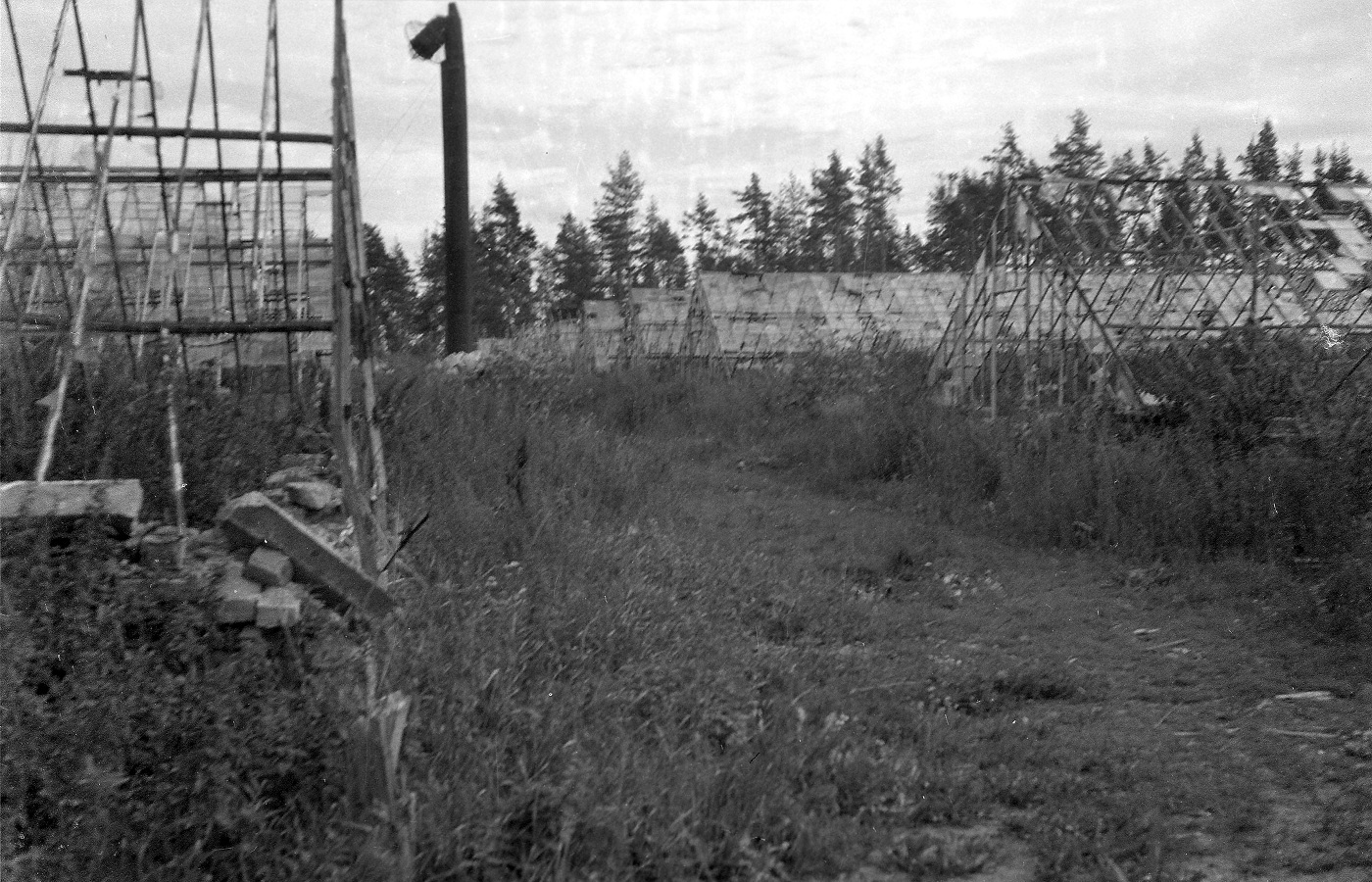 Кямярян-хови оранжереи Э.Рено 1941 sa-kuva-58694.jpg
