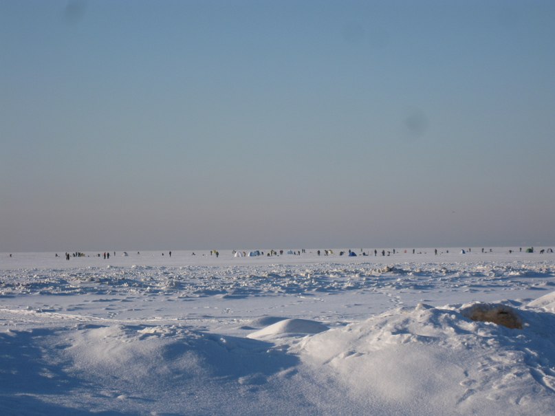 Ходьба в Сестрорецке-2.jpg