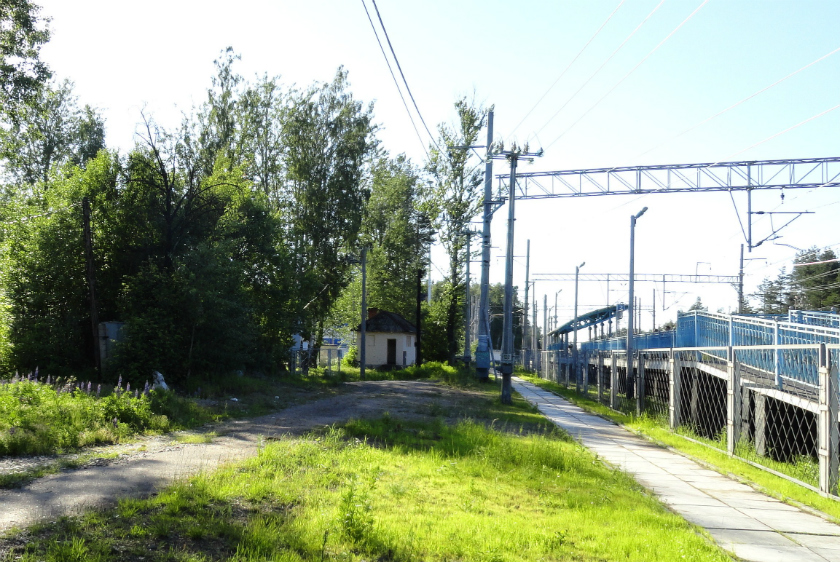 DSC07310 слева- заросший деревьями фундамент вокзала.jpg