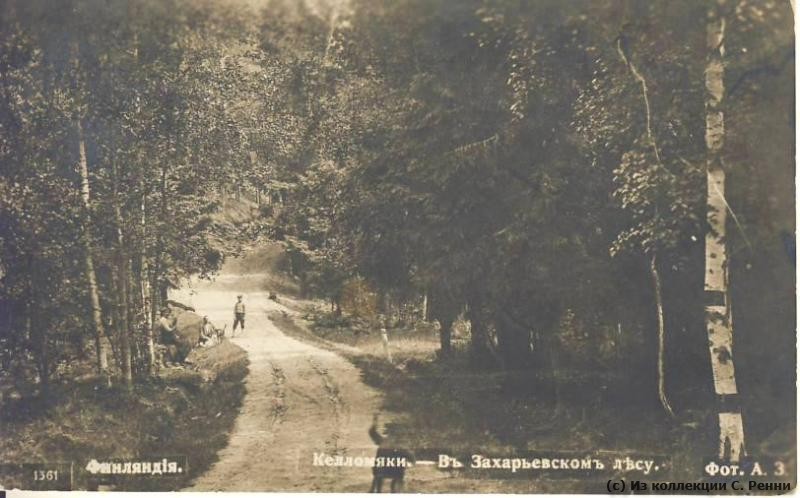 Захаровский(Захарьевский) лес sr_Kellomaki_Ozerki_1915-02a.jpg