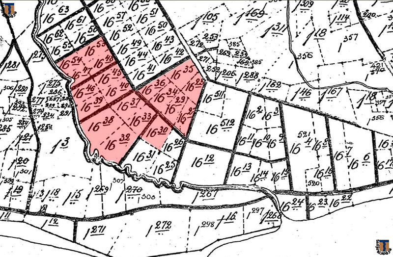 Фрагмент карты межевания Терийоки/Тюрисевя с отмеченными участками Г. Ф. Эйлерса