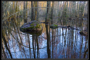 11. Лавола. Декабрь 2006 г.