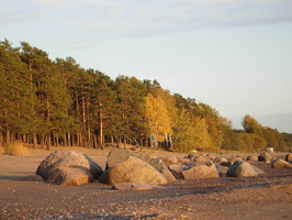 Repino_091009-2.jpg