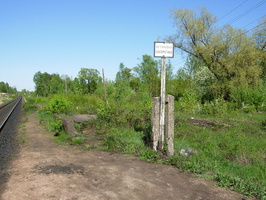 Paltsevo_2010-3