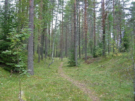 jappila_2011-11.jpg