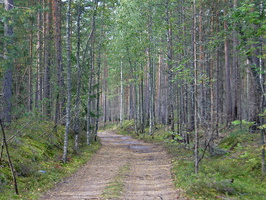 jappila_2011-14.jpg