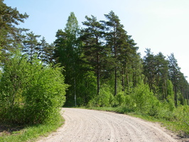 Ermilovo-Kuolemajarvi-09