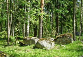 Ermilovo-Kuolemajarvi-18