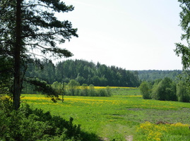 Ermilovo-Kuolemajarvi-19