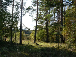 kaarlahti-kaukola-10.jpg