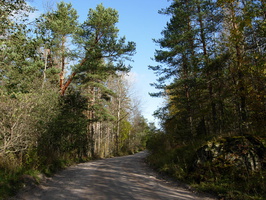 kaarlahti-kaukola-14.jpg