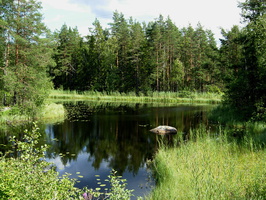 Karisalmi-7.jpg