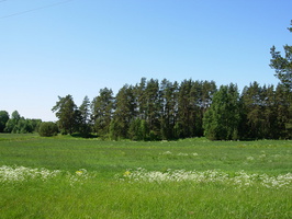 kuolemajarvi-karjalainen-6.jpg