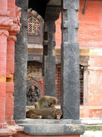 nepal-016