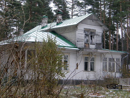 Дача Поликарпова/Павлова, участок 200