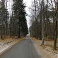 pk_Kauniskatu_2009-1.jpg