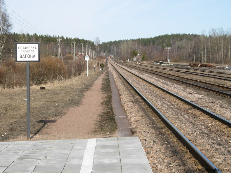 dv_Borodinskoe_2015-04.jpg