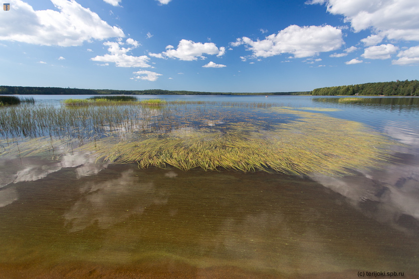 Рыбалка на озере Красавица в Ленинградской области