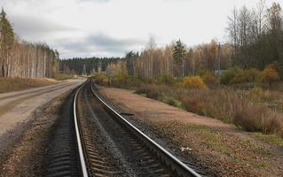 am Nikiforovskoe 2011 10 09