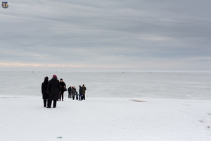 Весна 2016 г.