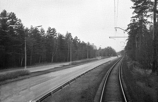 1982 11 21 фото25 Между Тарховкой и Разливом