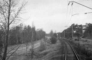 1982 11 21 фото28 Между Тарховкой и Александровской