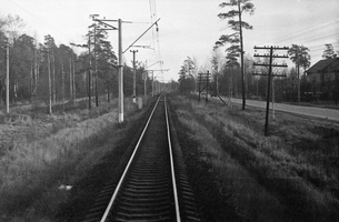 1982 доп 10 фото33 Лахта-Ольгино