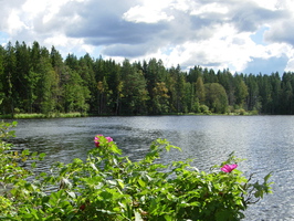 Озеро Малое Лебяжье