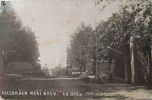 aist Kellomaki Reno 1923