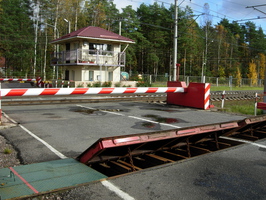 DV Komarovo Pereezd-2017 5