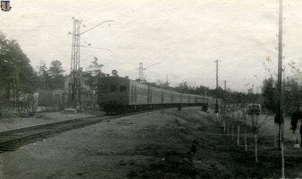 sr Близ Тарховки 1953