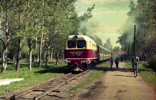 Малая Октябрьская (детская) ж.д. в Озерках. Фотографии