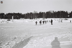 ash Zelenogorsk 1990-02