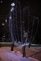 Zelenogorsk_26-12-2020