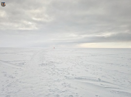 Зеленогорск, 06.02.2021