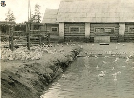 sr Н.М.Гусев 1962 Ленинское-5