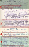 Зеленогорск школа 450 1956-1967