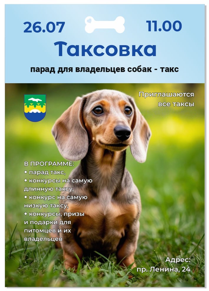 День Зеленогорска - 2025. Таксовка-2025