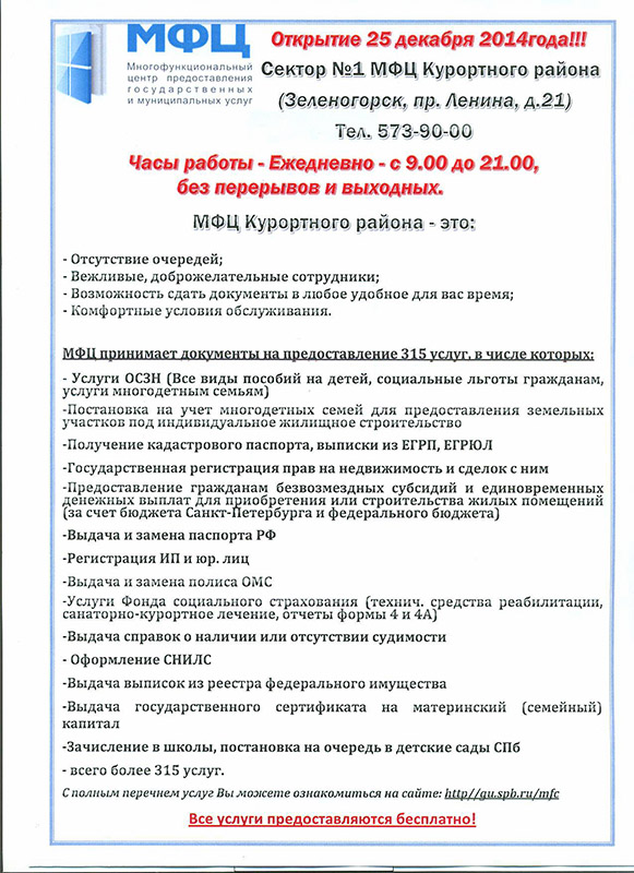  Отчет по практике по теме Анализ деятельности, выявление проблем и перспектив развития муниципального музейно-выставочного центра г. Зеленогорска