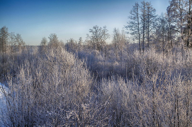 18.01.2013. Крещенский мороз в Приозерске. Фото Г. Гуринского