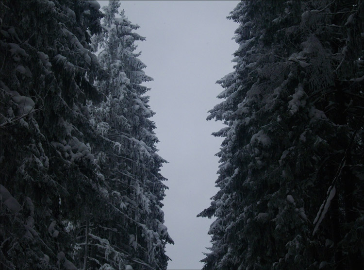 Зимняя Райвола