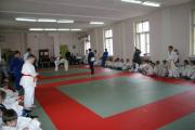 Дзюдо-2005